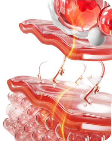 Orthopedics